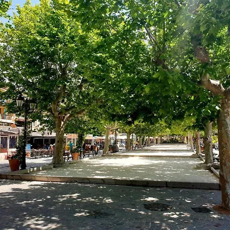 Maison Avec Piscine Et Parking, Proche Pour 6 Personnes - Fr-1-251-156 Le Lavandou