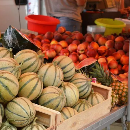 Maison Avec Piscine Et Parking, Proche Pour 6 Personnes - Fr-1-251-156 Le Lavandou