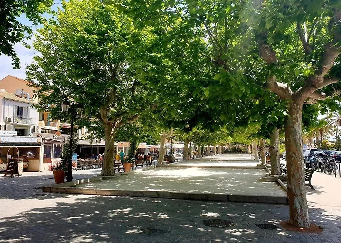 Maison Avec Piscine Et Parking, Proche Pour 6 Personnes - Fr-1-251-156 Le Lavandou