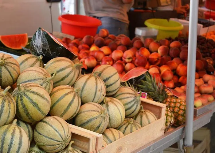 Maison Avec Piscine Et Parking, Proche Pour 6 Personnes - Fr-1-251-156 Le Lavandou