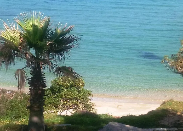 Nyaraló Maison Avec Piscine Et Parking, Proche Pour 6 Personnes - Fr-1-251-156 Le Lavandou